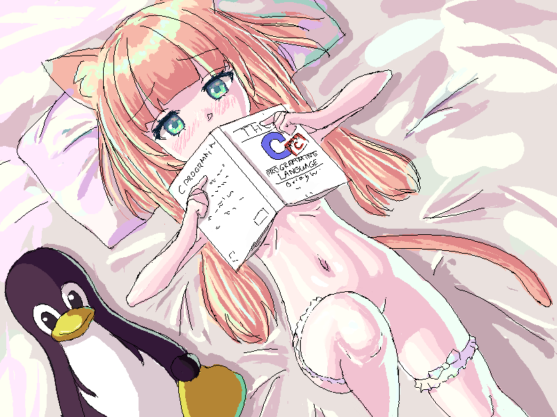 1girl animal_ears bed blush book cat_ears cat_tail covering_breasts covering_mouth c_(programming_langauge) green_eyes leg_garter leg_lift long_hair nude on_back orange_hair penguin pillow plush_toy solo solo_focus tail toy tux