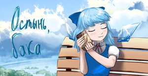 Rating: Safe Score: 0 Tags: bench blue_eyes blue_hair can cirno cloud kvas outdoors short_hair sky smile touhou User: (automatic)ns-chan