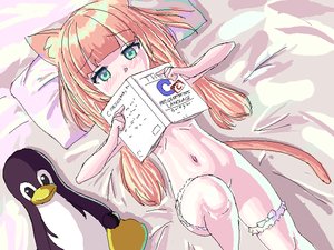 Rating: Questionable Score: 5 Tags: 1girl animal_ears bed blush book cat_ears cat_tail covering_breasts covering_mouth c_(programming_langauge) green_eyes leg_garter leg_lift long_hair nude on_back orange_hair penguin pillow plush_toy solo solo_focus tail toy tux User: iamtakingiteasy