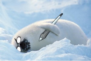 Rating: Safe Score: 0 Tags: angry animal beard glasses lying no_humans outdoors photo photoshop seal snow stylus User: (automatic)nanodesu