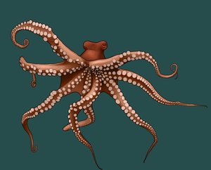 Rating: Safe Score: 0 Tags: animal eyes no_humans octopus simple_background tentacles User: (automatic)Willyfox