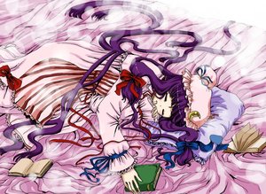Rating: Safe Score: 0 Tags: bed blush book bow closed_eyes hat long_hair lying mouth_hold patchouli_knowledge purple_hair sleeping /to/ touhou User: (automatic)nanodesu