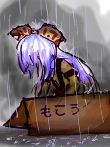 Rating: Safe Score: 0 Tags: bow box fujiwara_no_mokou lonely long_hair lowres outdoors purple_hair rain sitting touhou User: (automatic)nanodesu