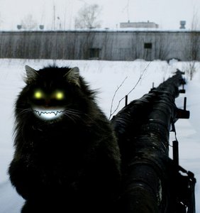 Rating: Safe Score: 0 Tags: bizarre cat creepy evil_smile glowing_eyes grin photo photoshop winter User: (automatic)ii
