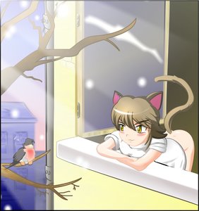 Rating: Safe Score: 0 Tags: :3 animal_ears bird blush brown_hair cat_ears co_(artist) crossed_arms long_hair no_panties snow tail tree uvao-chan window yellow_eyes User: (automatic)timewaitsfornoone