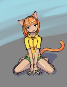 Rating: Safe Score: 0 Tags: 1girl animal_ears blush cat_ears green_eyes orange_hair sitting sketch solo tail User: (automatic)Anonymous