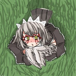 Rating: Safe Score: 0 Tags: blood dress grass grey_hair hands_on_chest maid maid_headdress maid_outfit nijiura_maids owl short_hair tail wings yabai yellow_eyes User: (automatic)nanodesu