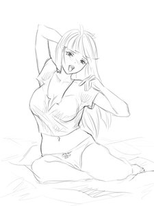 Rating: Safe Score: 0 Tags: long_hair monochrome open_mouth panties possible_duplicate sitting sketch User: (automatic)nanodesu