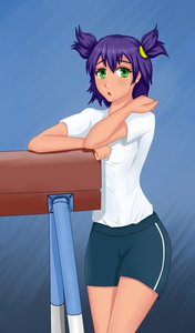 Rating: Safe Score: 0 Tags: green_eyes gym_uniform purple_hair shirt shorts t-shirt twintails unyl-chan User: (automatic)Anonymous