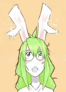 Rating: Safe Score: 0 Tags: animal_ears bomb-chan bomb-kun_(artist) braid bunny_ears glasses green_hair long_hair twin_braids User: (automatic)nanodesu