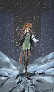Rating: Safe Score: 0 Tags: animal_ears bow braid brown_hair cat_ears city dress long_hair outdoors pantyhose scarf snow szao-chan tail uvao-chan winter yellow_eyes User: (automatic)Anonymous