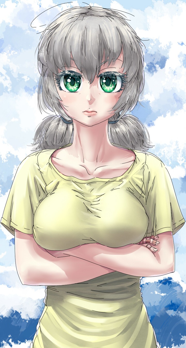 breasts crossed_arms f2d_(artist) green_eyes grey_hair has_child_posts outdoors shirt silver_hair sky t-shirt twintails